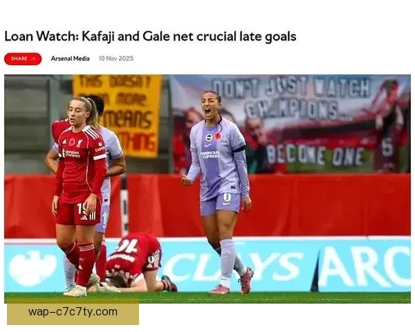 英媒称阿森纳球迷反坑自家球队