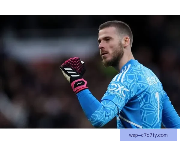 科莫战紫百合帕斯巴图里纳先发德赫亚基恩出战 科莫战紫百合帕斯巴图里纳先发德赫亚基恩出战